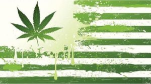 legalize marijuana cannabis